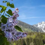 Nagerlhof Пидинг
